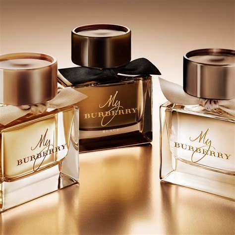 burberry blush toilet water|My Burberry Eau de Toilette Burberry for women .